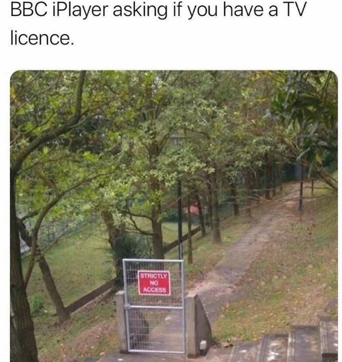 Wait, They Actually Ranked These British Memes?!