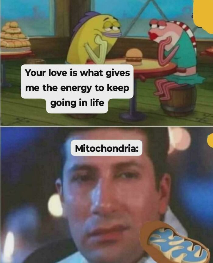 79 Hilarious Science Memes That’re Way Funnier Than Your Last Science Class