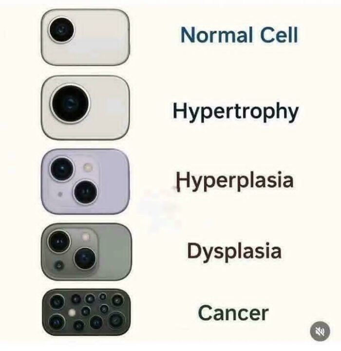 79 Hilarious Science Memes That’re Way Funnier Than Your Last Science Class
