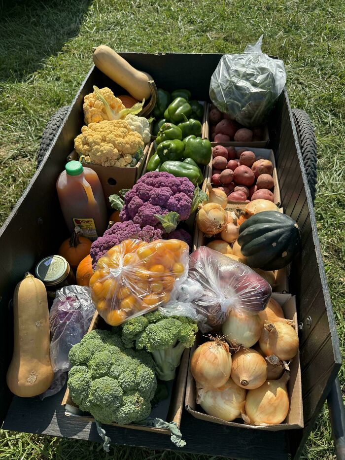 $130 At The Farm Today! Grabbed 63 Lbs Of Fresh Produce That Lasts 3 Weeks