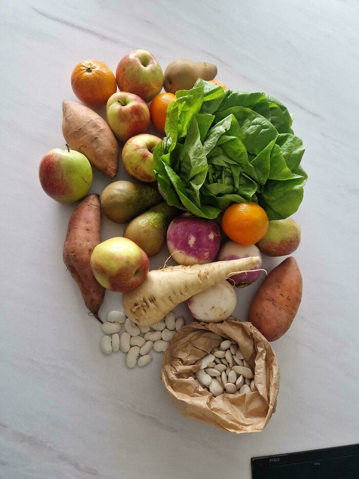 €8 At The Belgian Farmers Market—Fresh and Budget-Friendly