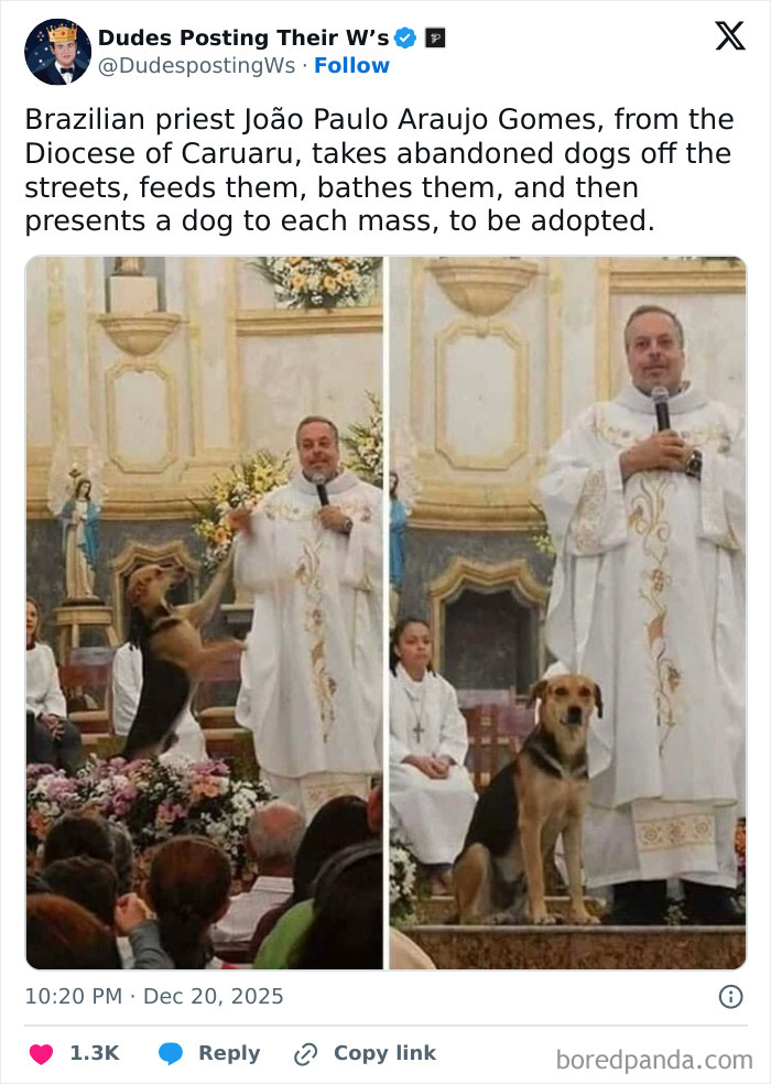 The Funniest and Most Heartwarming Dude Wins Ever Shared Online