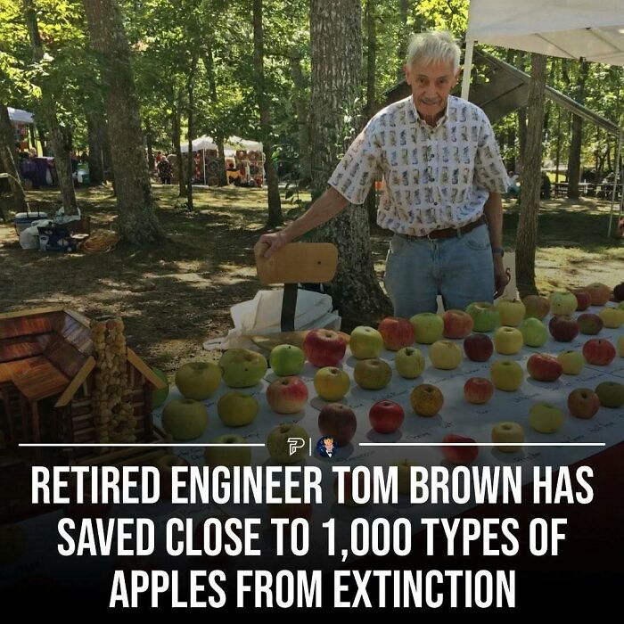 The Funniest and Most Heartwarming Dude Wins Ever Shared Online