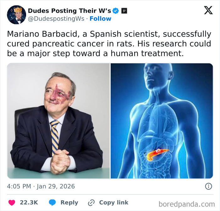 The Funniest and Most Heartwarming Dude Wins Ever Shared Online