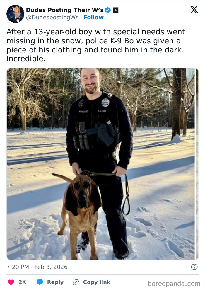 The Funniest and Most Heartwarming Dude Wins Ever Shared Online