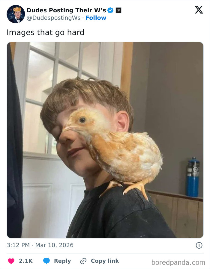 The Funniest and Most Heartwarming Dude Wins Ever Shared Online