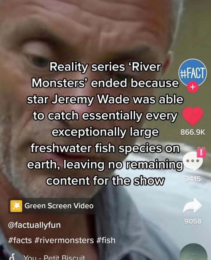 The Funniest and Most Heartwarming Dude Wins Ever Shared Online