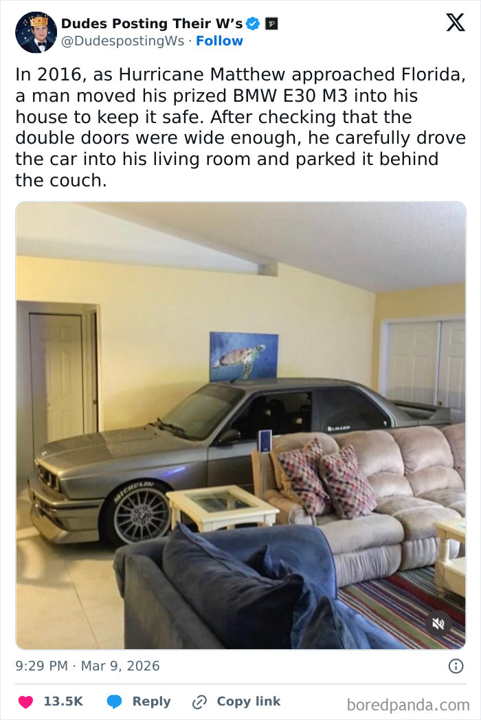 The Funniest and Most Heartwarming Dude Wins Ever Shared Online