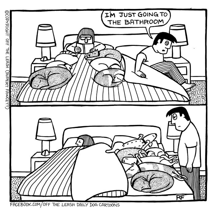 Wait Till You See These Hilarious Dog Comics That Nail Life With Pups