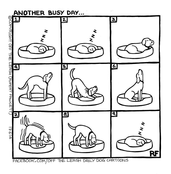 Wait Till You See These Hilarious Dog Comics That Nail Life With Pups
