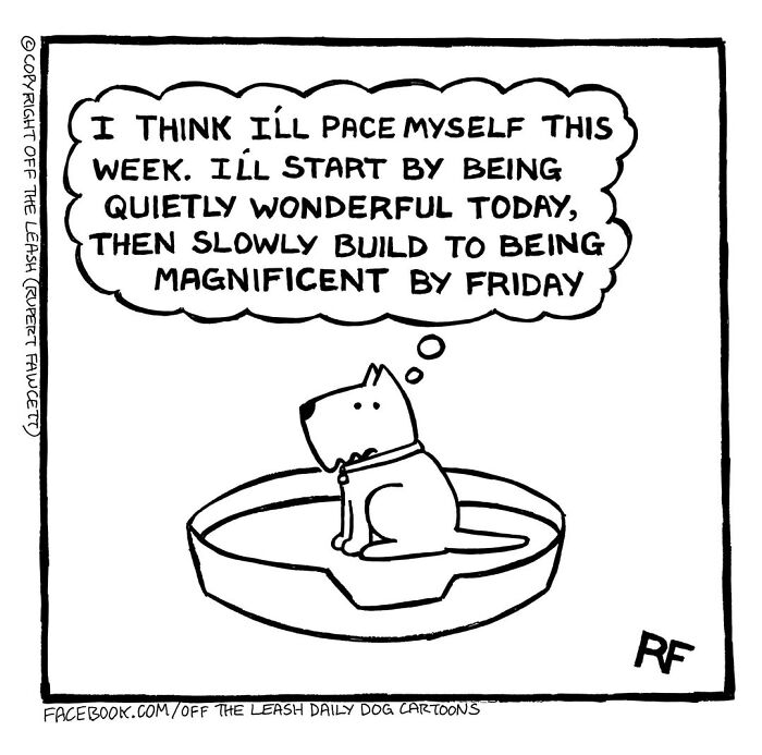 Wait Till You See These Hilarious Dog Comics That Nail Life With Pups