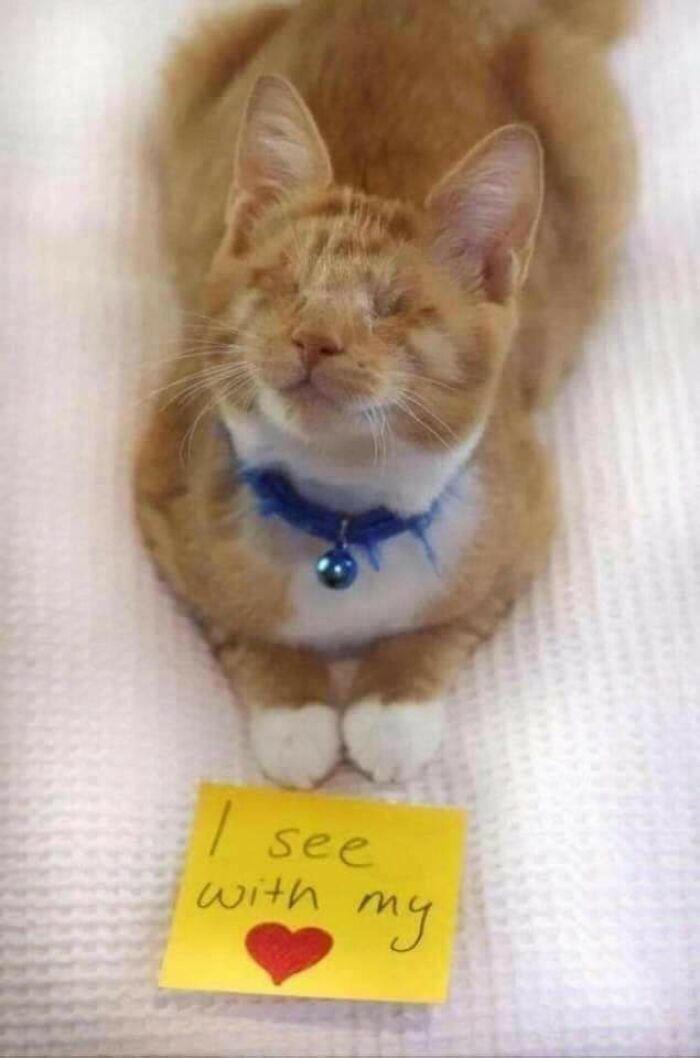 Good Morning! Here’s Your Daily Dose of Cute to Kick Off Your Day Right