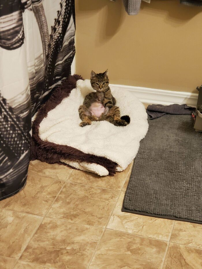 Bermuda’s 72-Hour Comeback: Post-Op Picasso Vibes and Living Life Unstoppable