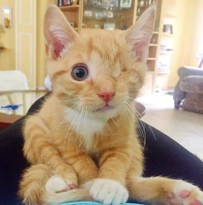 So Cute You Might Just Smile Instantly