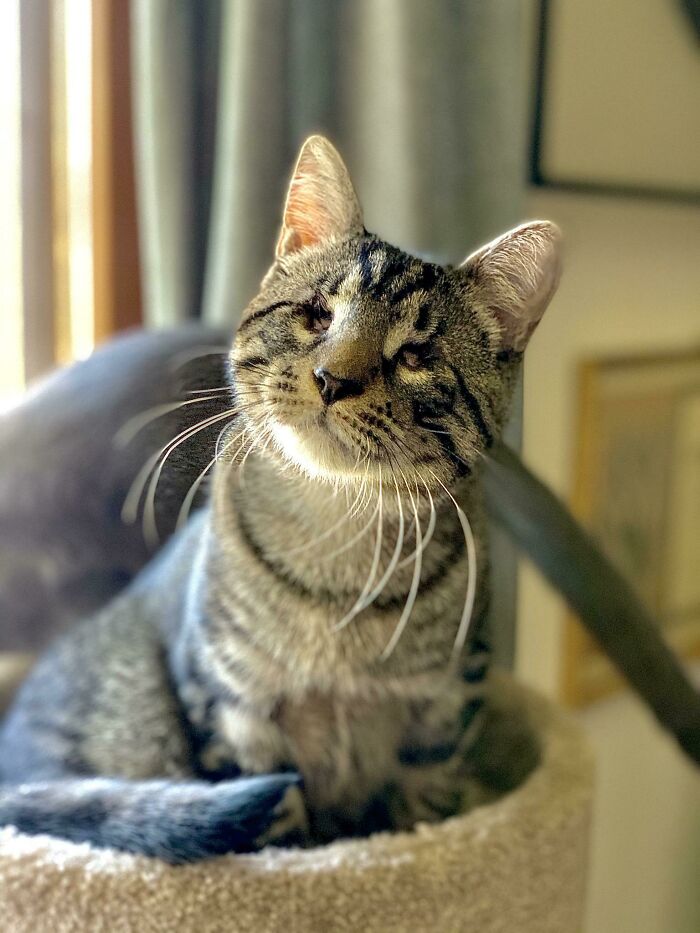 What a Cutie! Enough Said.