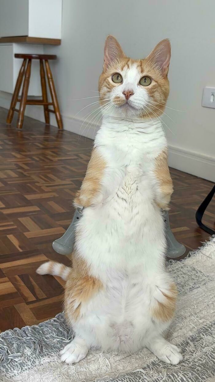 My Little Two-Legged Athlete: Proof That Nothing Can Stop Determination