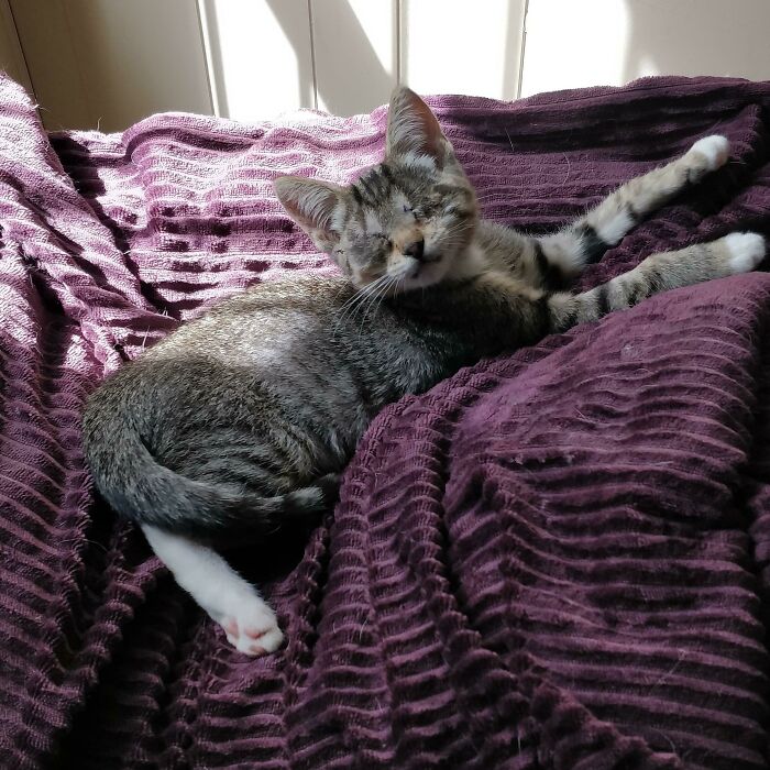 Just a Girl Living Her Best Life With Lots of Love