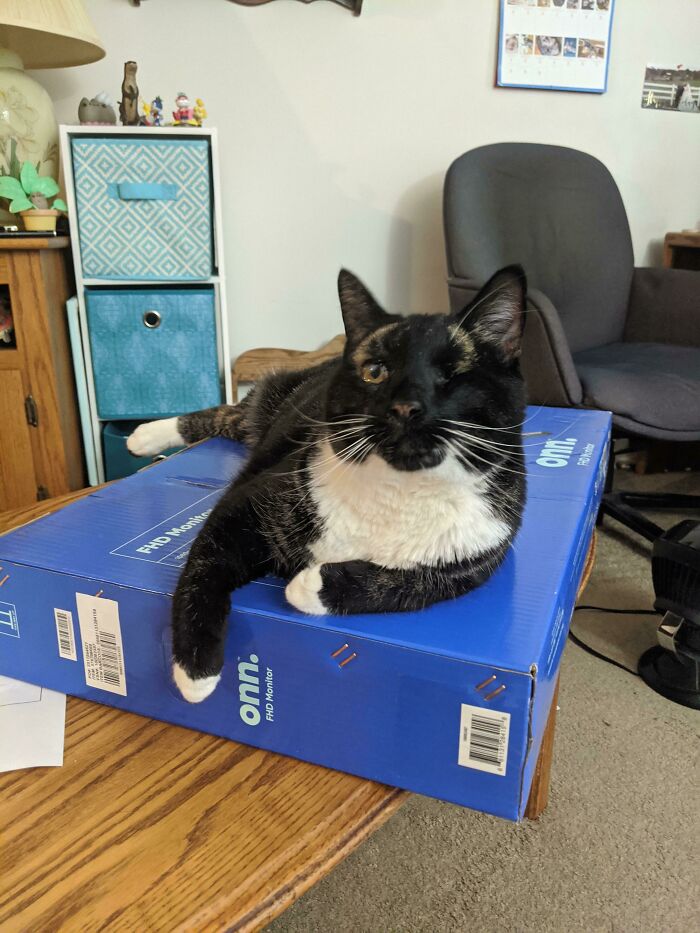 New Computer Monitor? Time for a New Box, Says Newman!