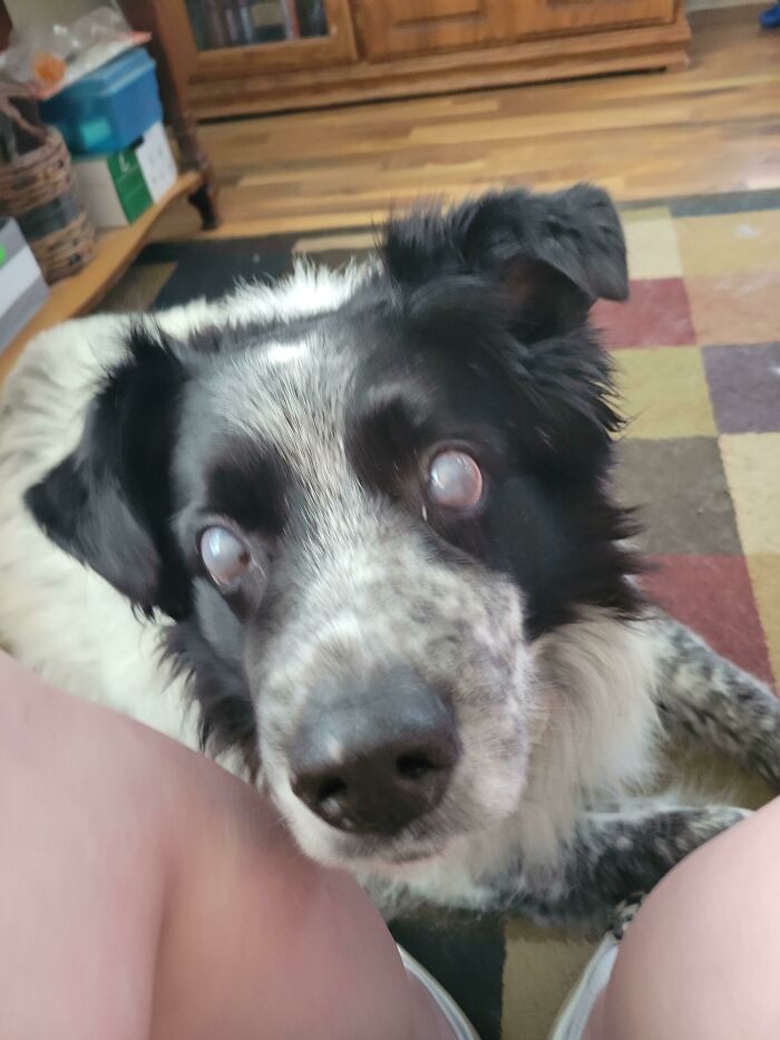 When the AC Is Out, Your In-Laws’ House Is the Cool Hangout Spot—Ace Stuck Close for the Win