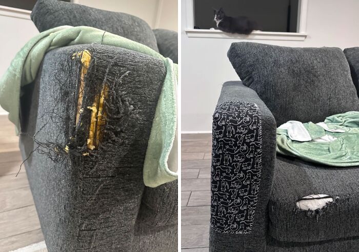 The Criminal … And The Cover-Up That Stole the Show