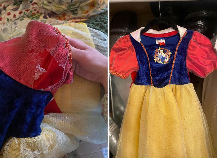 Repaired a Thrift Store Princess Dress for My Niece — Because Royalty Deserves It