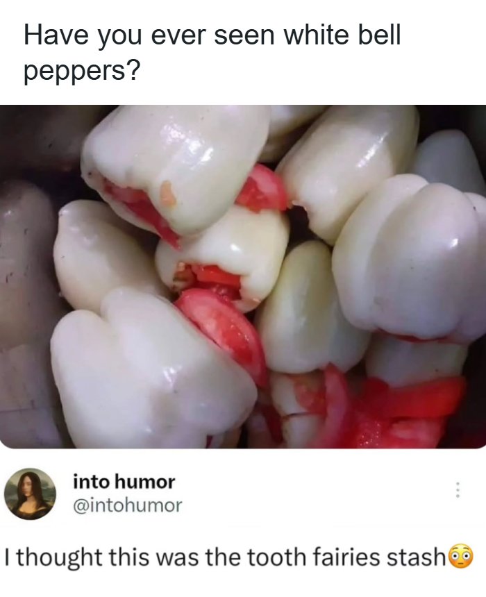 57 Memes That'll Totally Crack You Up and Make You Click Share