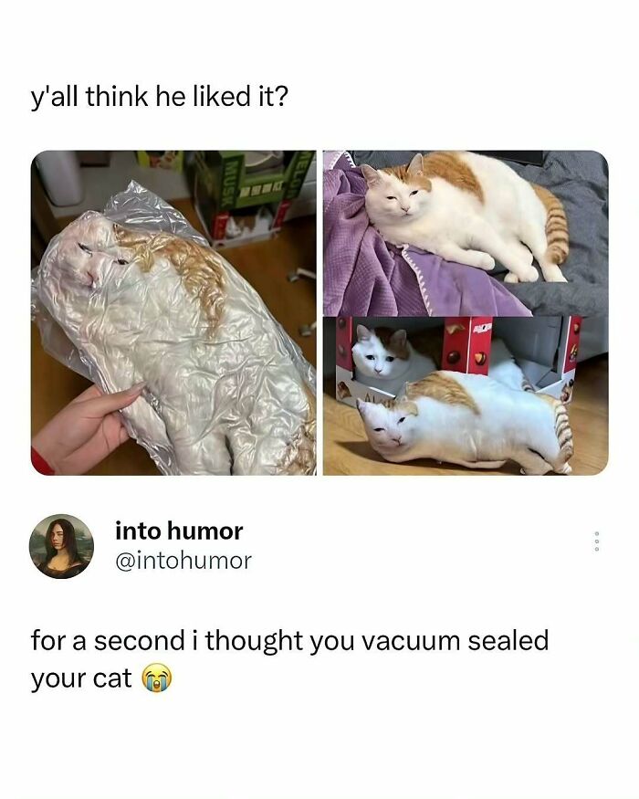 57 Memes That'll Totally Crack You Up and Make You Click Share