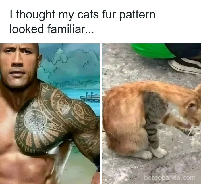 57 Memes That'll Totally Crack You Up and Make You Click Share