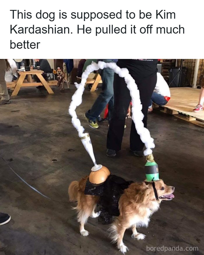 57 Memes That'll Totally Crack You Up and Make You Click Share