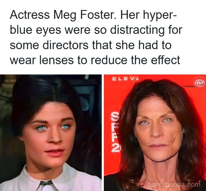 57 Memes That'll Totally Crack You Up and Make You Click Share