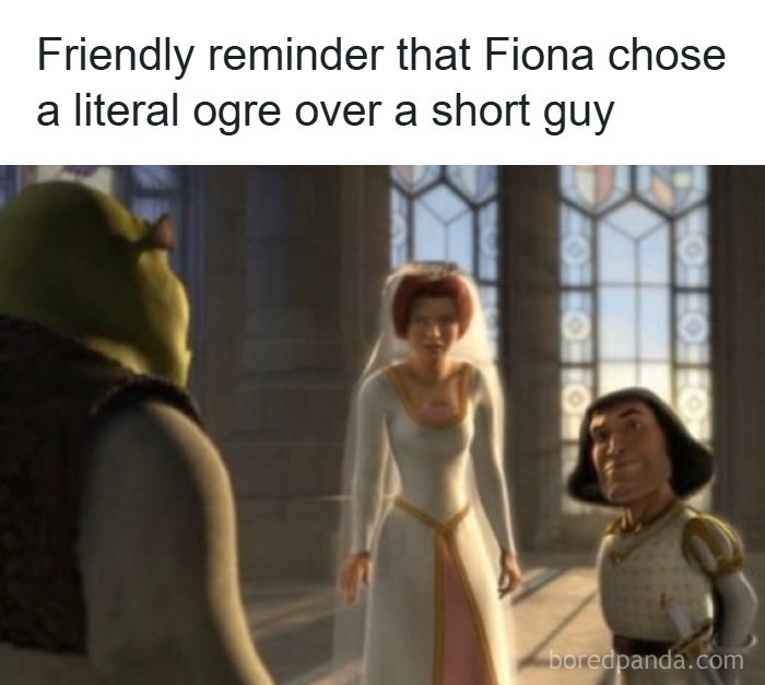 57 Memes That'll Totally Crack You Up and Make You Click Share