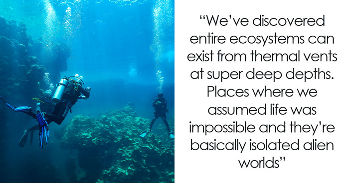 Wait, They Actually Found These 37 Ocean Facts?!