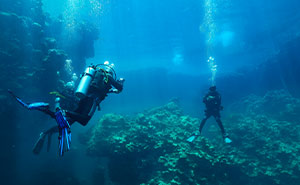 Wait, They Actually Found These 37 Ocean Facts?!
