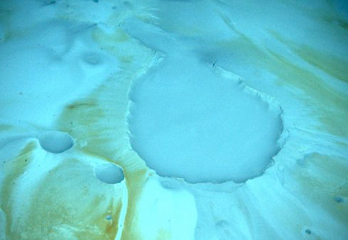 Wait, They Actually Found These 37 Ocean Facts?!