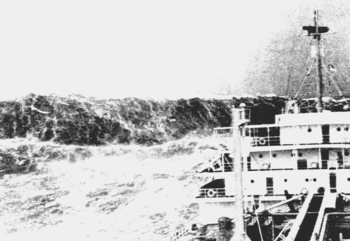 Wait, They Actually Found These 37 Ocean Facts?!