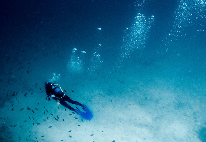 Wait, They Actually Found These 37 Ocean Facts?!