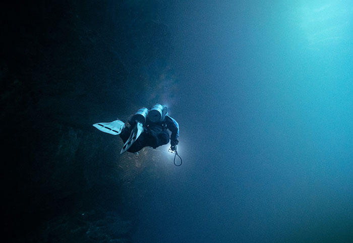 Wait, They Actually Found These 37 Ocean Facts?!