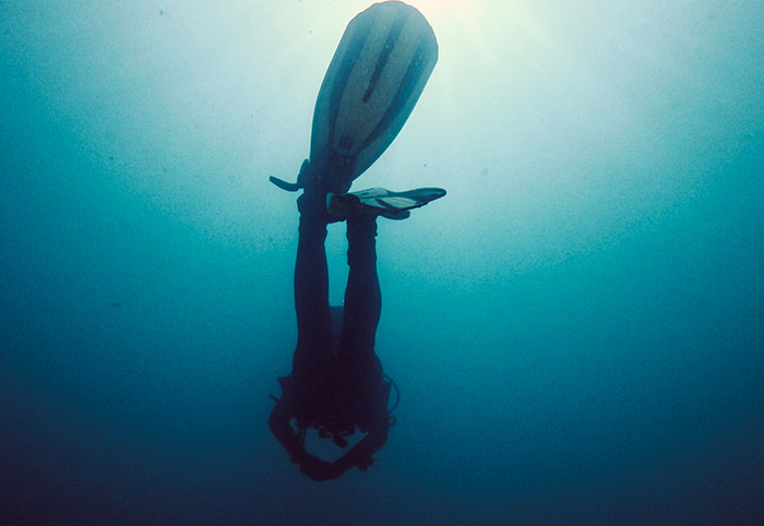 Wait, They Actually Found These 37 Ocean Facts?!