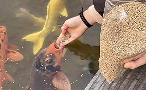 These 113 Adorable Animal Pics Are Basically Happiness in Photo Form