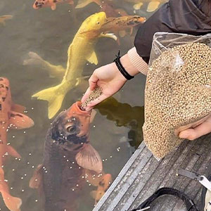 These 113 Adorable Animal Pics Are Basically Happiness in Photo Form