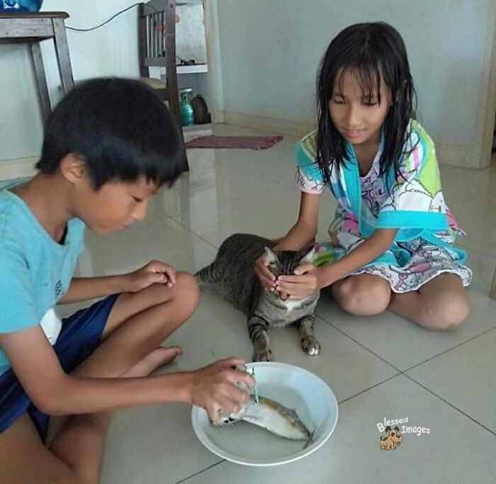 These 113 Adorable Animal Pics Are Basically Happiness in Photo Form