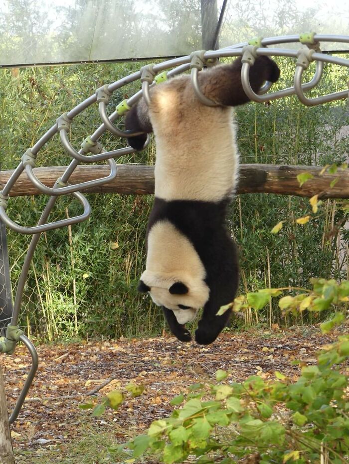 These 113 Adorable Animal Pics Are Basically Happiness in Photo Form