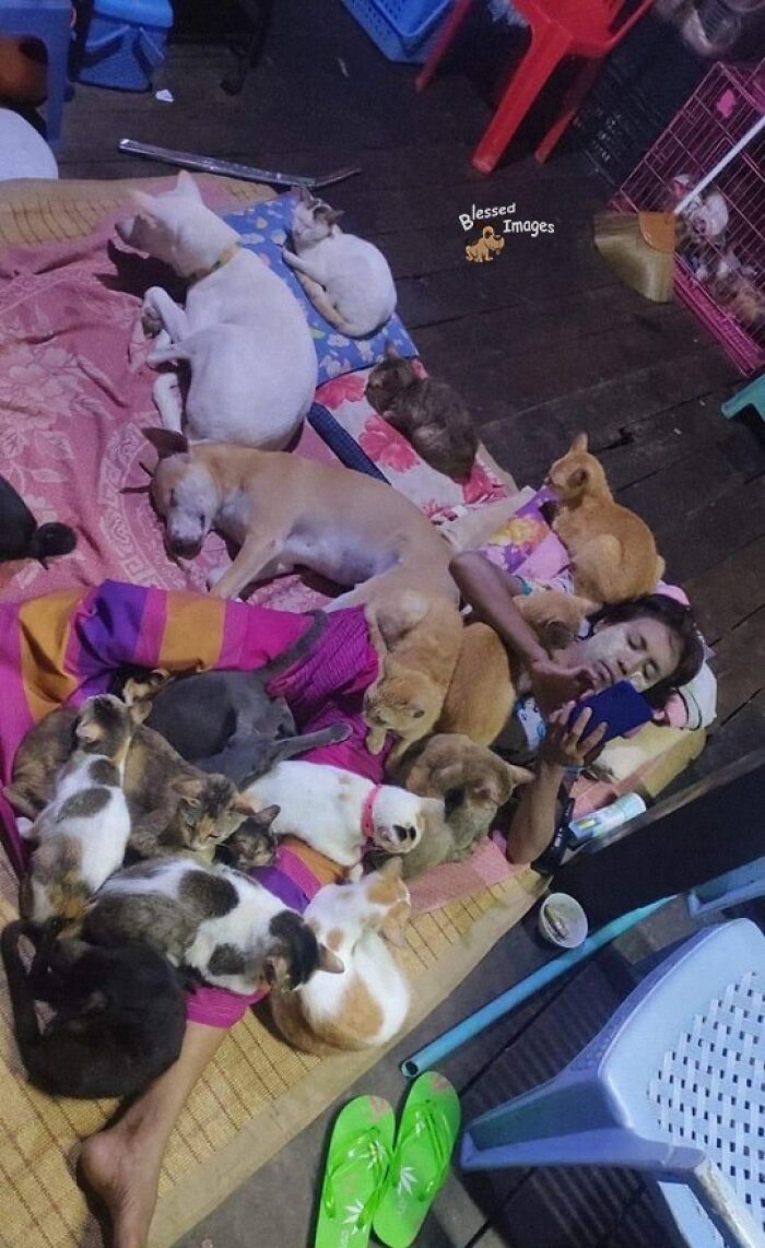 These 113 Adorable Animal Pics Are Basically Happiness in Photo Form