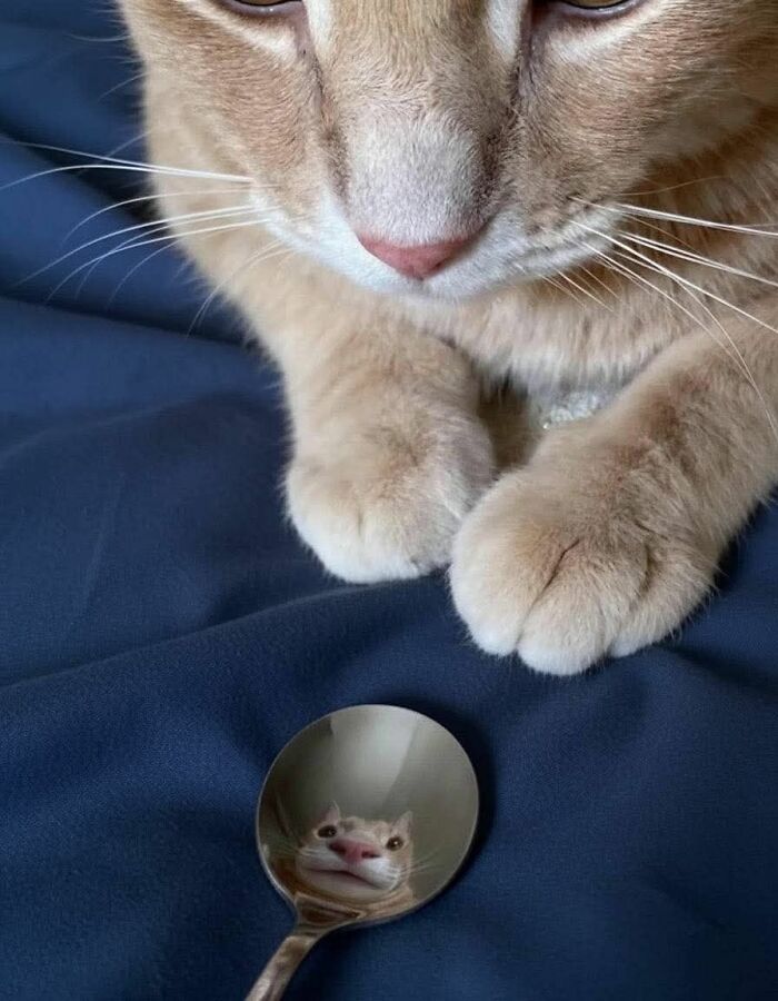 These 113 Adorable Animal Pics Are Basically Happiness in Photo Form