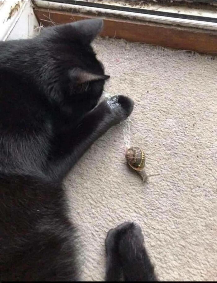 These 113 Adorable Animal Pics Are Basically Happiness in Photo Form