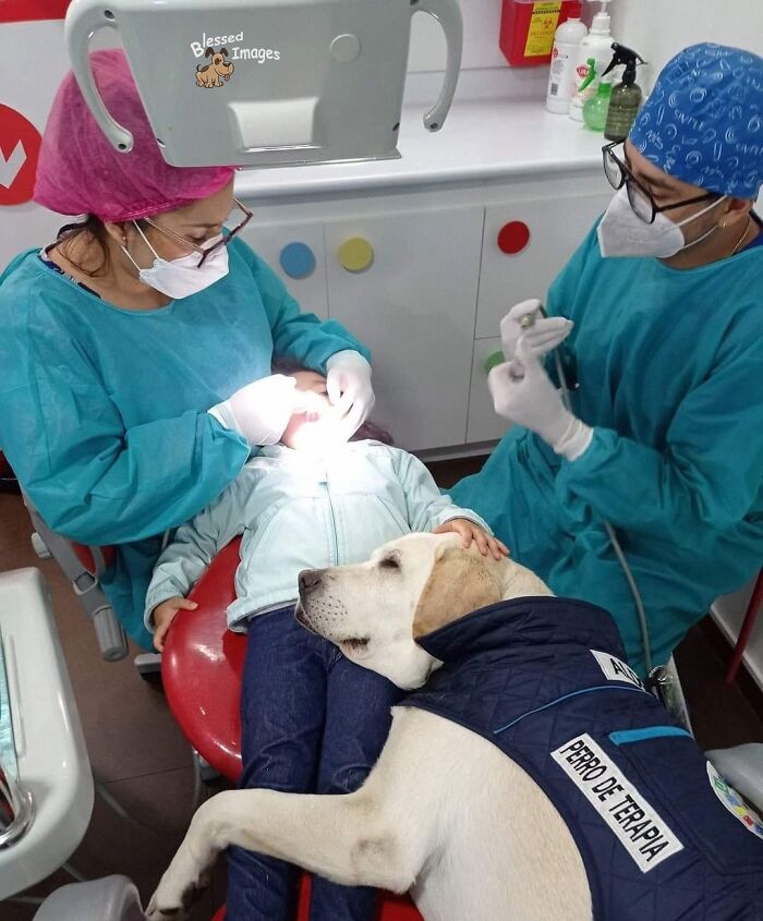 These 113 Adorable Animal Pics Are Basically Happiness in Photo Form