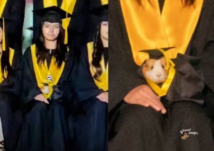 These 113 Adorable Animal Pics Are Basically Happiness in Photo Form