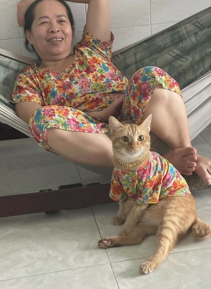 These 113 Adorable Animal Pics Are Basically Happiness in Photo Form