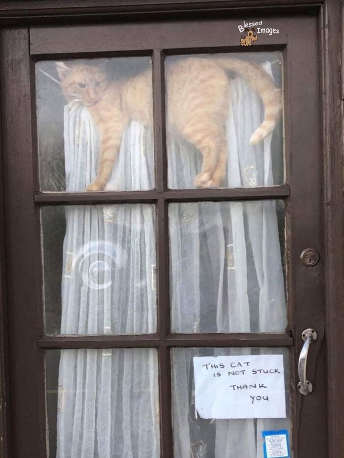 These 113 Adorable Animal Pics Are Basically Happiness in Photo Form