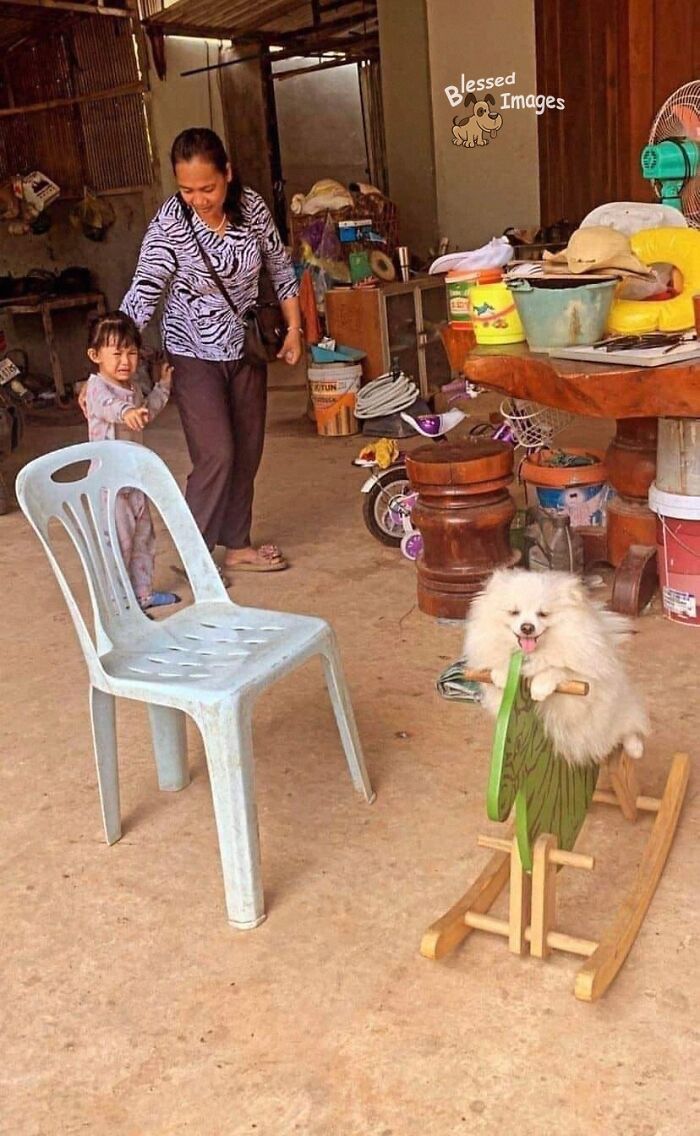 These 113 Adorable Animal Pics Are Basically Happiness in Photo Form